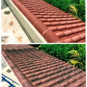 Photo of Miami Roof Cleaning Services