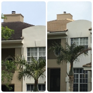 Photo of Miami Roof Cleaning Services