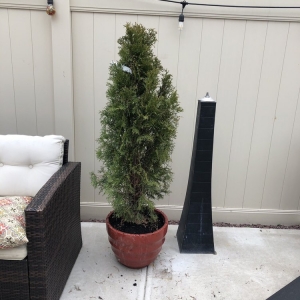 Photo of Sweetbrook Nursery & Garden Center
