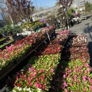 Photo of Sweetbrook Nursery & Garden Center