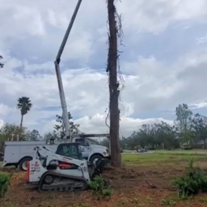 Photo of Knowles Logging And Excavation