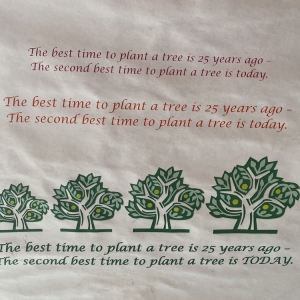 Photo of A. Brown & Son's Nursery