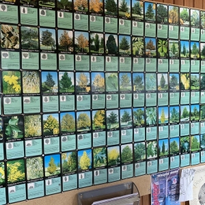 Photo of A. Brown & Son's Nursery