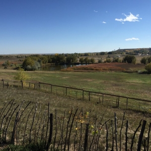 Photo of Lone Hawk Farm