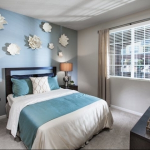 Photo of The Views at Harbortown Apartments