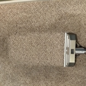 Photo of Naturally Safe Carpet Care