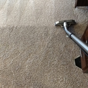 Photo of Naturally Safe Carpet Care