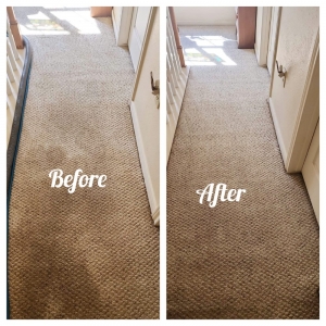 Tomball Archer Carpet and Tile Cleaning