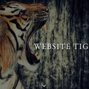 Photo of Website Tigers