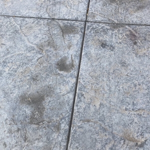 Photo of Jay's Carpet Cleaning