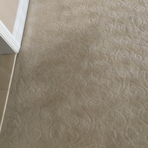 Photo of Jay's Carpet Cleaning