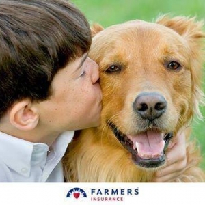 Photo of Farmers Insurance - Sasha Anahid