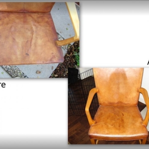 Photo of Fibermark Mark the Carpetbagger