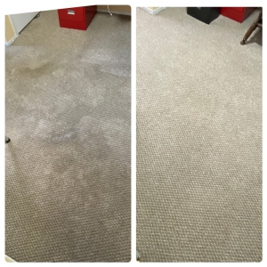 Photo of Shekinah Cleaning Service