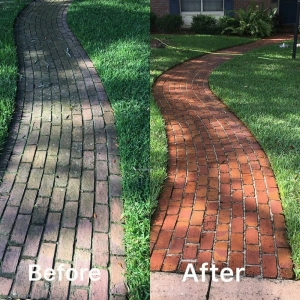Orange Park Benin Cleaning Services