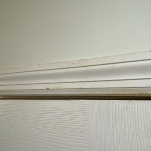 Photo of Merrell Home Improvements