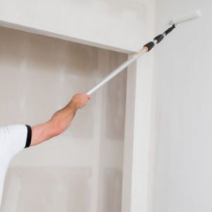 Photo of Anderson Professional Painting