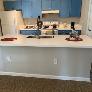 Photo of Palmetto Quality Painting Service
