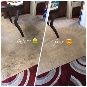 Photo of Mohan Cleaning