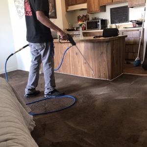 Photo of Mohan Cleaning