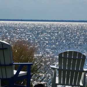 Photo of Realty Navigator