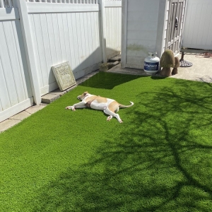 Staten Island Touchdown Turf