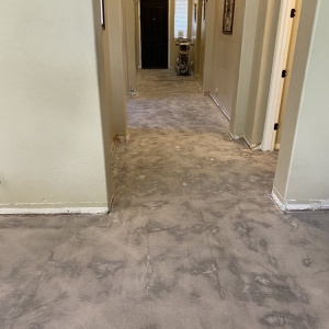 Photo of Arizona Floor Removal