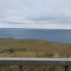 Photo of Man With A Van Edinburgh