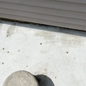 Photo of Roslindale Masonry & Construction