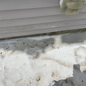 Photo of Roslindale Masonry & Construction