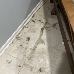 Photo of Dadzie's Clean Team