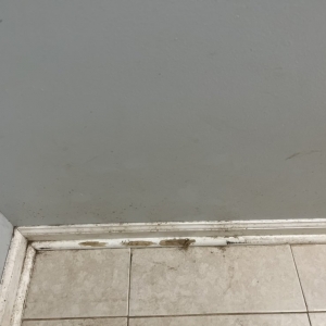 Photo of Dadzie's Clean Team