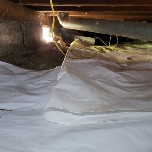 Photo of Home crawl space protection