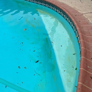 Photo of Ambar Pool & Spa