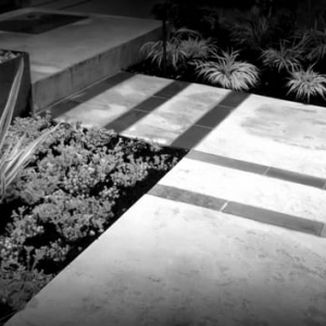 Photo of Structure Landscapes NW