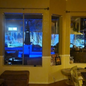 Photo of Wall Sensations