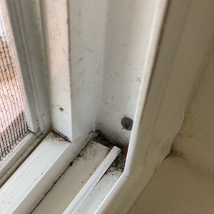 Photo of San Diego Expert House Cleaning