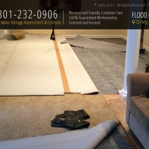 Photo of Flood Damage Pro