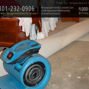 Photo of Flood Damage Pro