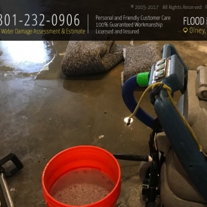 Photo of Flood Damage Pro