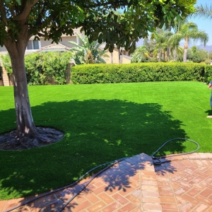 Photo of Turf It Up