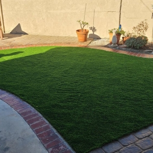 Photo of Turf It Up