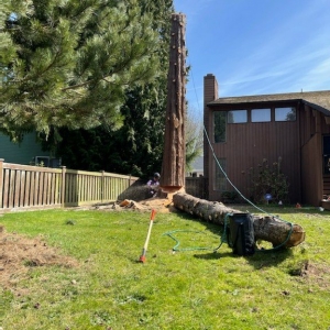 Photo of Black Diamond Tree Service