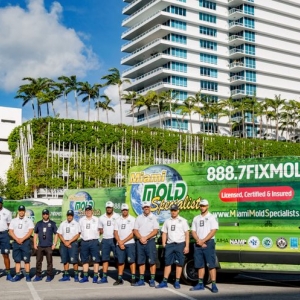 Photo of Miami Mold Specialist
