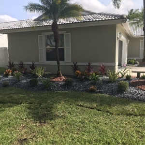 Miramar Hummingbird Landscaping & Designs