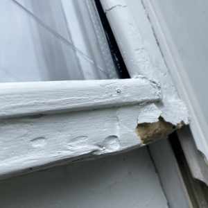 Photo of Window Guyz Restorations Ltd.