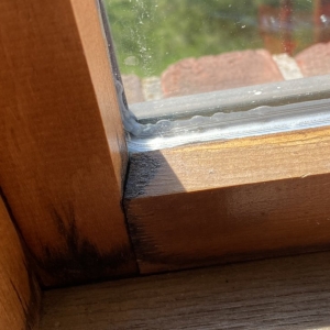 Photo of Window Guyz Restorations Ltd.