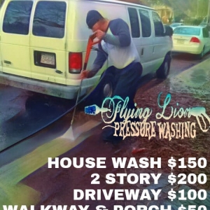 Photo of Flying Lion Pressure Washing