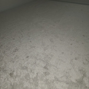 Photo of Carpeteria Flooring Centers