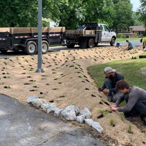 Photo of Down To Earth Services